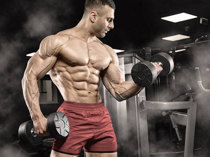 2 Factors Influencing Muscle Growth2 1