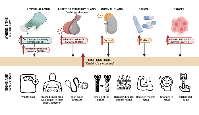 230413 figure 3