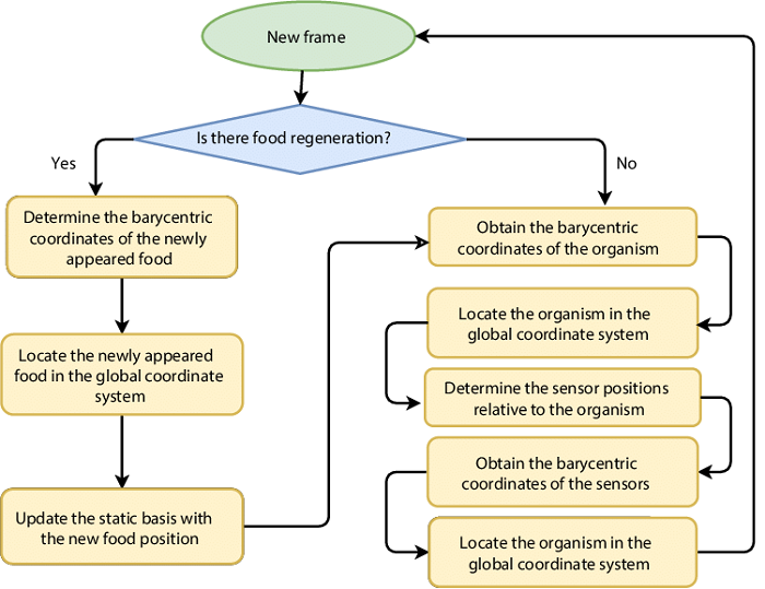 The Building Blocks of Regeneration