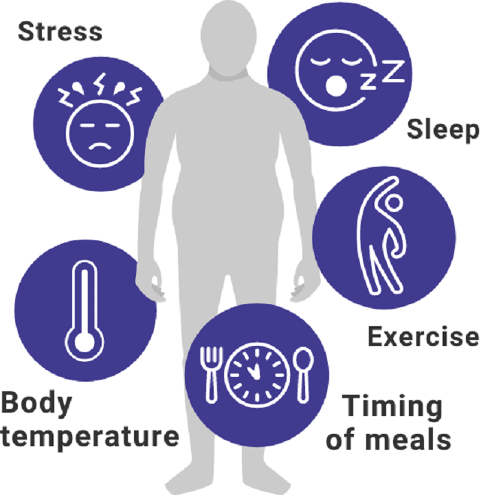 homeostasis