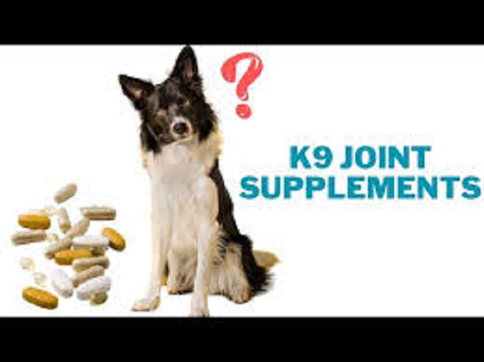 joint supplements