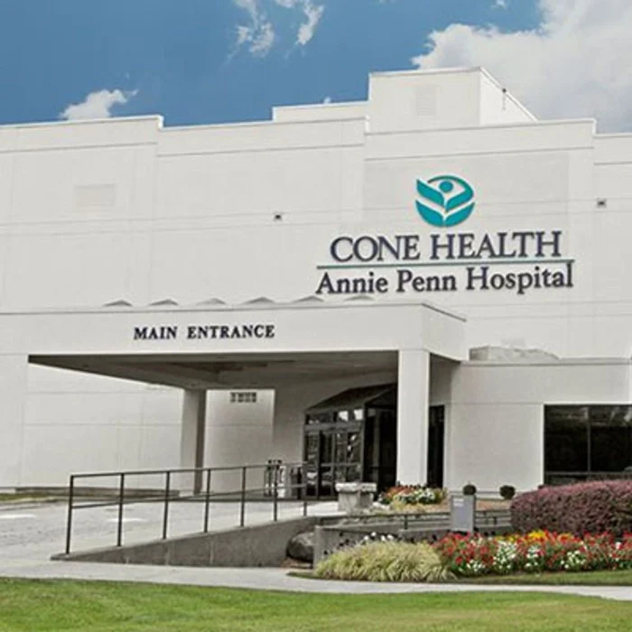 What Is Annie Penn Hospital e1748255378681